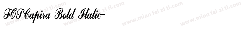 FOTCapira Bold Italic字体转换